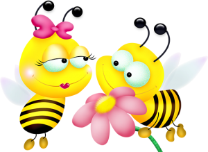 a spring butterfly couple